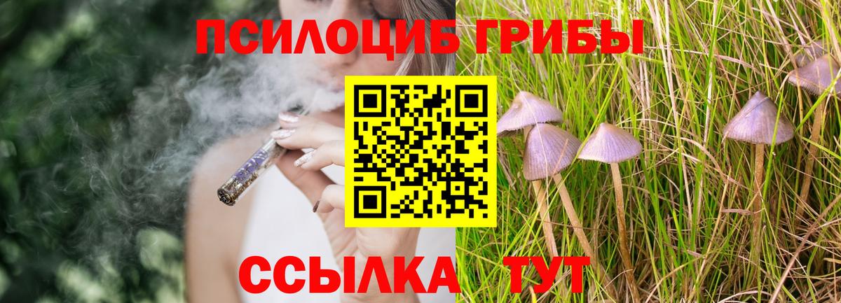 Йошкар-Ола  Псилоцибиновые грибы Psilocybine cubensis  Псилоцибиновые грибы мухоморы  Вход с VPN 